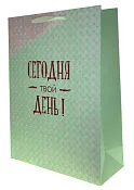 Пакет бумажный "Сегодня твой день" 40х30х12см