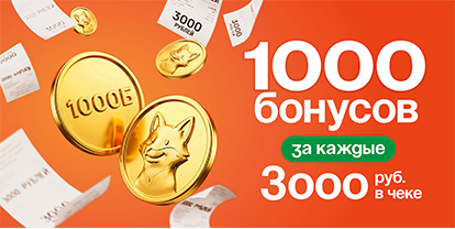 1000 бонусов за каждые 3000 руб.