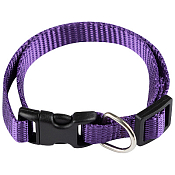 Ошейник с застежкой, размер S, 1х20-30см, цв.фиолетовый