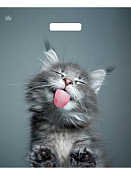 Пакет полиэтиленовый "Кот" 38х45см