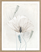 Декор. изобр. "Белый мак" 40х50х1,8см