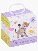 Набор книг "Мир в картинках" 6шт.