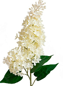 Цветок искусственный "Сирень", h 70см, цв.белый