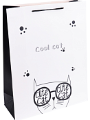 Пакет бумажный "Классный кот" 31x42x12см