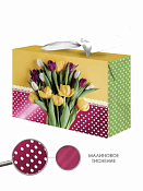 Пакет-коробка "Тюльпаны" 15х11х9см