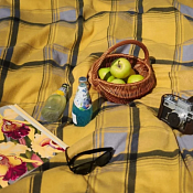 Плед "Абердин" 130х150см, цв.желтый, флис