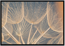 Декор. изобр. "Воздушность" 50х70х2,5см