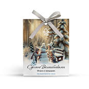 Аромасаше "Мороз и мандарин" 8х10см