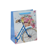 Пакет бумажный "Велосипед" 23х18х10см