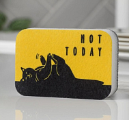Губка для мытья посуды "Not today" 6х9см