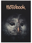 Записная книжка "Сова" 20х15см